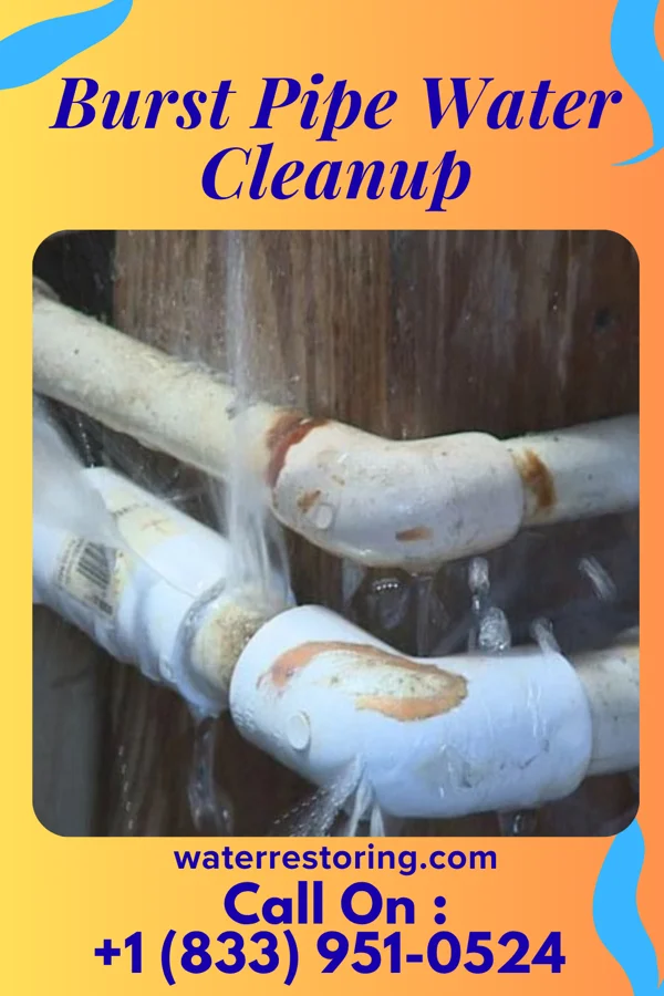 Burst Pipe Water Cleanup in Shipshewana, IN