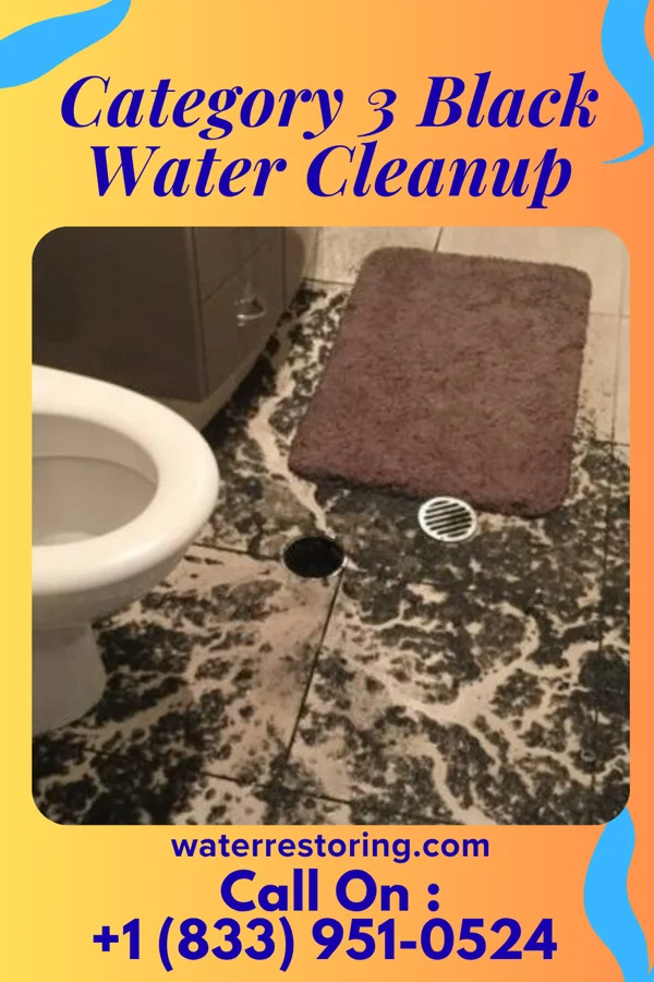 Category 3 Black Water Cleanup in Shipshewana, IN