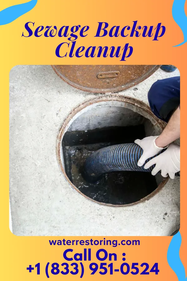 Sewage Backup Cleanup in Shipshewana, IN